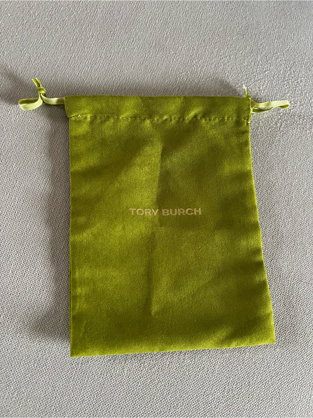 Tory Burch Small Dust Bag in Green Suede